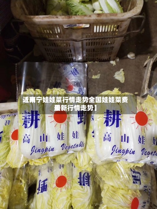 近来【南宁娃娃菜行情走势全国娃娃菜费用最新行情走势】-第2张图片