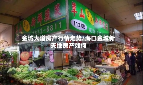 金城大道房产行情走势/海口金城新天地房产如何