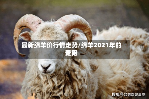 最新绵羊价行情走势/绵羊2021年的费用走势-第2张图片