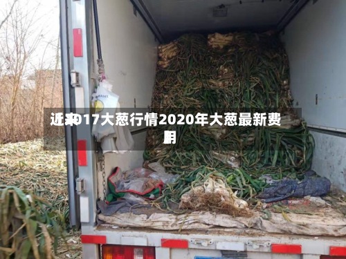 近来
【2017大葱行情2020年大葱最新费用
】-第3张图片