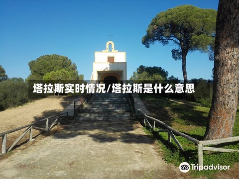 塔拉斯实时情况/塔拉斯是什么意思-第2张图片