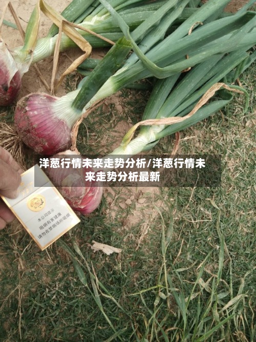 洋葱行情未来走势分析/洋葱行情未来走势分析最新