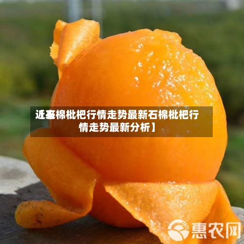 近来
【石棉枇杷行情走势最新石棉枇杷行情走势最新分析】