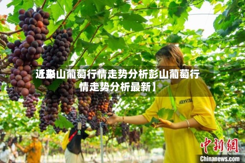 近来
【彭山葡萄行情走势分析彭山葡萄行情走势分析最新】