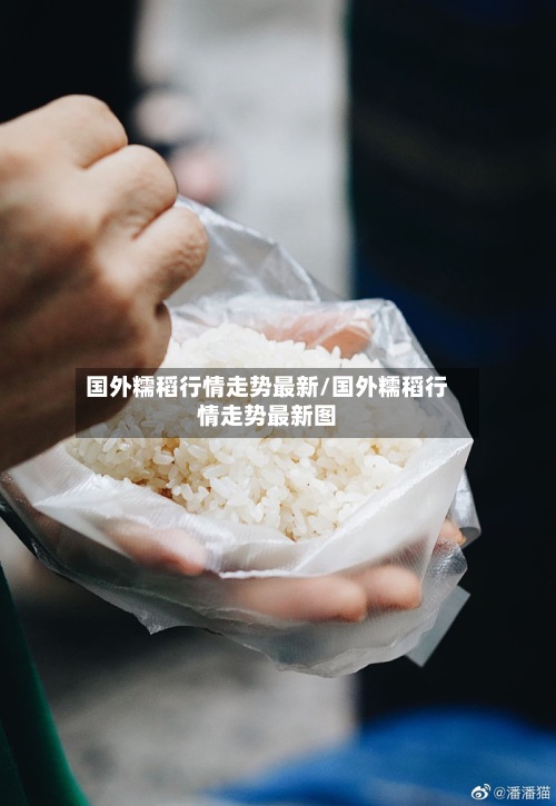 国外糯稻行情走势最新/国外糯稻行情走势最新图-第2张图片