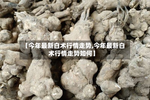 【今年最新白术行情走势,今年最新白术行情走势如何】