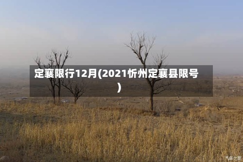 定襄限行12月(2021忻州定襄县限号)-第2张图片