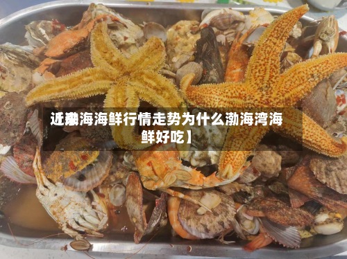 近来【渤海海鲜行情走势为什么渤海湾海鲜好吃】-第2张图片