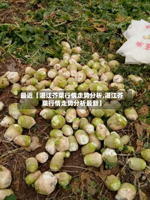 最近【湛江芥菜行情走势分析,湛江芥菜行情走势分析最新】-第2张图片