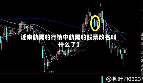 近来
【中航黑豹行情中航黑豹股票改名叫什么了】