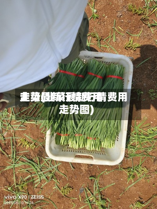 韭菜最新行情费用走势(韭菜最新行情费用走势图)