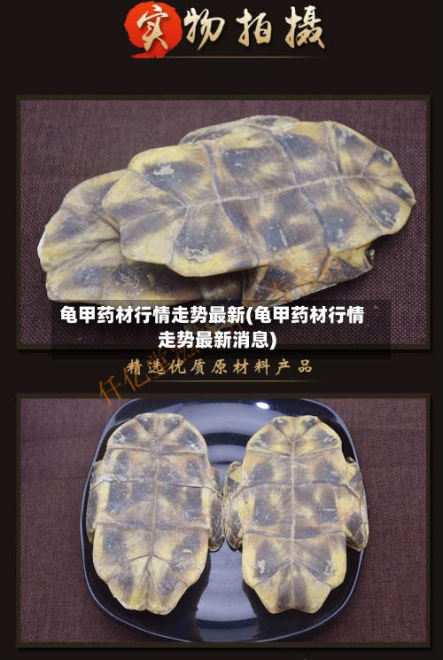 龟甲药材行情走势最新(龟甲药材行情走势最新消息)-第3张图片