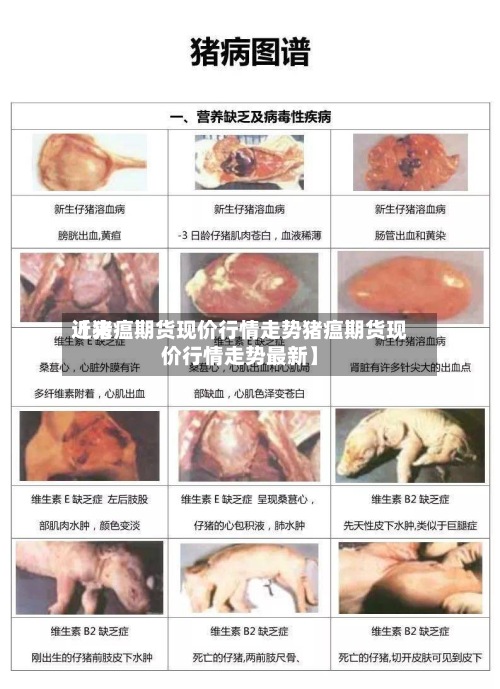 近来【猪瘟期货现价行情走势猪瘟期货现价行情走势最新】-第3张图片