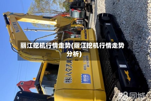 丽江挖机行情走势(丽江挖机行情走势分析)-第2张图片