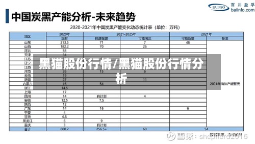 黑猫股份行情/黑猫股份行情分析-第2张图片