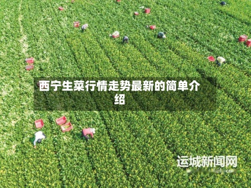 西宁生菜行情走势最新的简单介绍-第2张图片