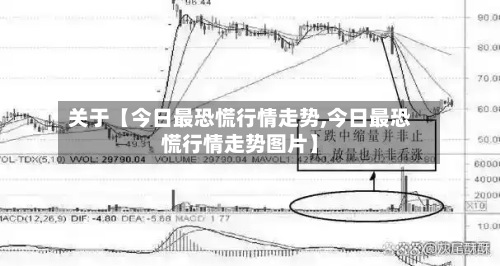 关于【今日最恐慌行情走势,今日最恐慌行情走势图片】