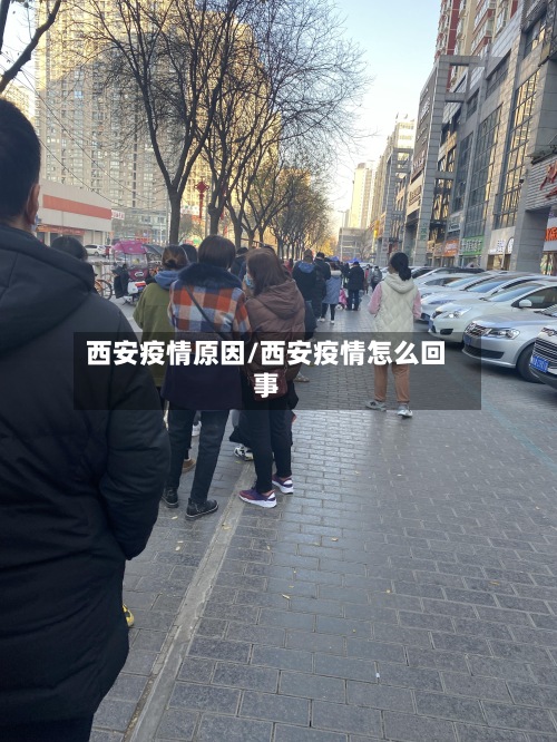 西安疫情原因/西安疫情怎么回事