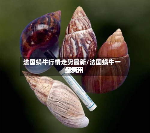 法国蜗牛行情走势最新/法国蜗牛一盘费用 欧元