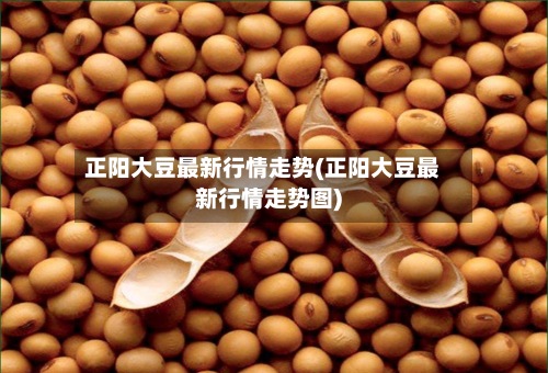 正阳大豆最新行情走势(正阳大豆最新行情走势图)