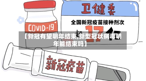 【新冠有望明年结束,新型冠状病毒明年能结束吗】-第3张图片