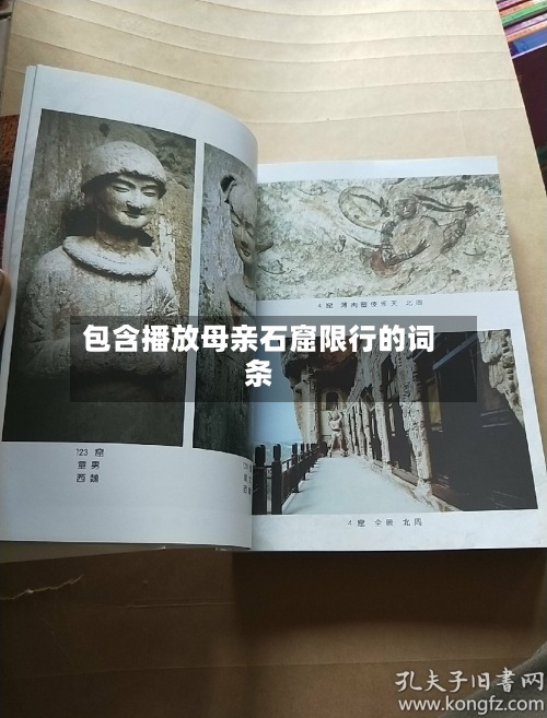 包含播放母亲石窟限行的词条