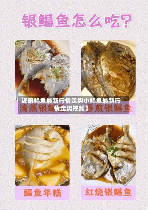 近来【小鲳鱼最新行情走势小鲳鱼最新行情走势视频】-第2张图片