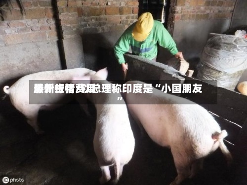 滕州生猪费用最新行情/以总理称印度是“小国朋友”
