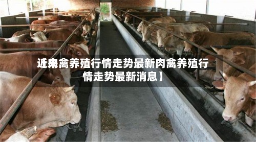 近来
【肉禽养殖行情走势最新肉禽养殖行情走势最新消息】-第3张图片