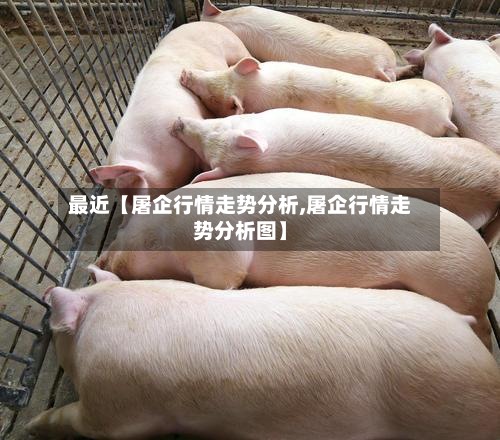 最近【屠企行情走势分析,屠企行情走势分析图】-第2张图片