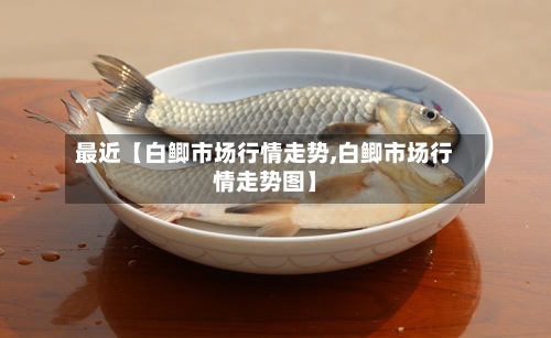 最近【白鲫市场行情走势,白鲫市场行情走势图】-第3张图片