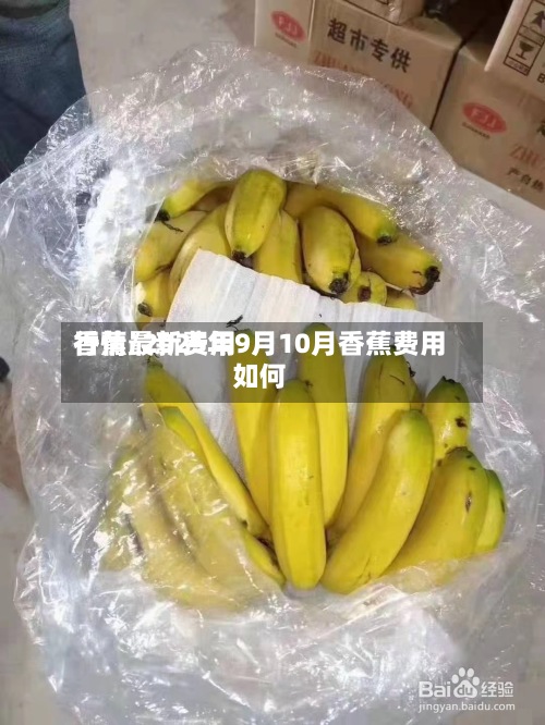 香蕉最新费用行情/2025年9月10月香蕉费用如何