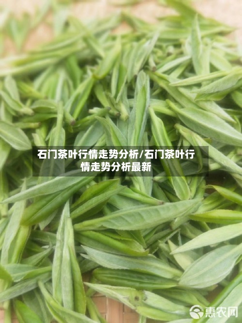 石门茶叶行情走势分析/石门茶叶行情走势分析最新-第2张图片