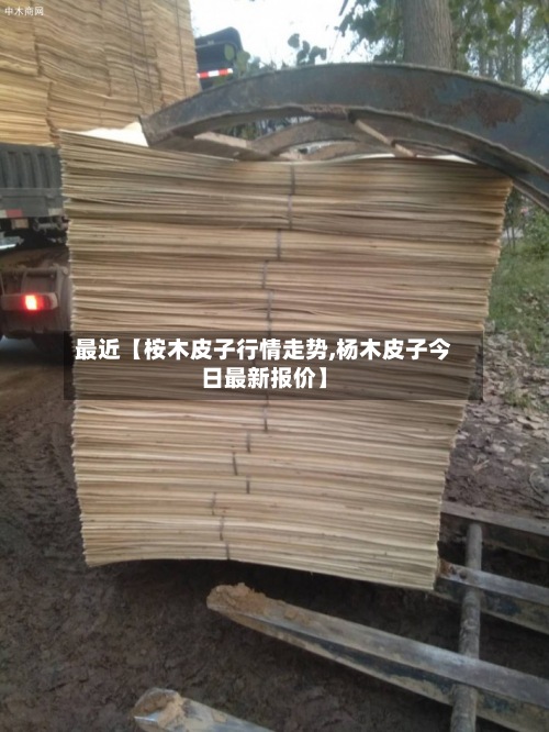 最近【桉木皮子行情走势,杨木皮子今日最新报价】-第2张图片