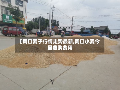 【周口麦子行情走势最新,周口小麦今天收购费用最新】-第2张图片