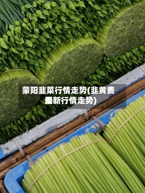 蒙阳韭菜行情走势(韭黄费用最新行情走势)-第3张图片