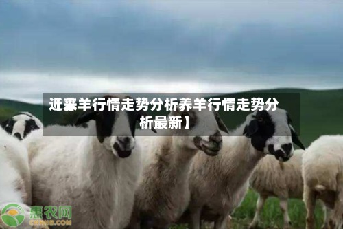 近来【养羊行情走势分析养羊行情走势分析最新】-第3张图片