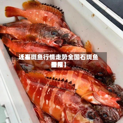 近来
【石斑鱼行情走势全国石斑鱼费用
播报】