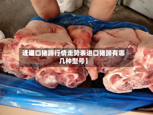 近来
【进口猪蹄行情走势表进口猪蹄有哪几种型号】