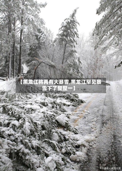 【黑龙江将再有大暴雪,黑龙江罕见暴雪下了整整一】-第2张图片