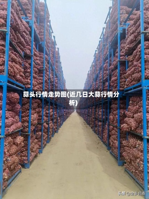 蒜头行情走势图(近几日大蒜行情分析)