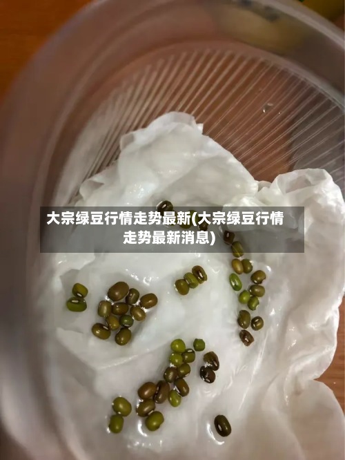 大宗绿豆行情走势最新(大宗绿豆行情走势最新消息)
