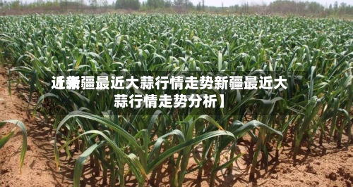 近来
【新疆最近大蒜行情走势新疆最近大蒜行情走势分析】