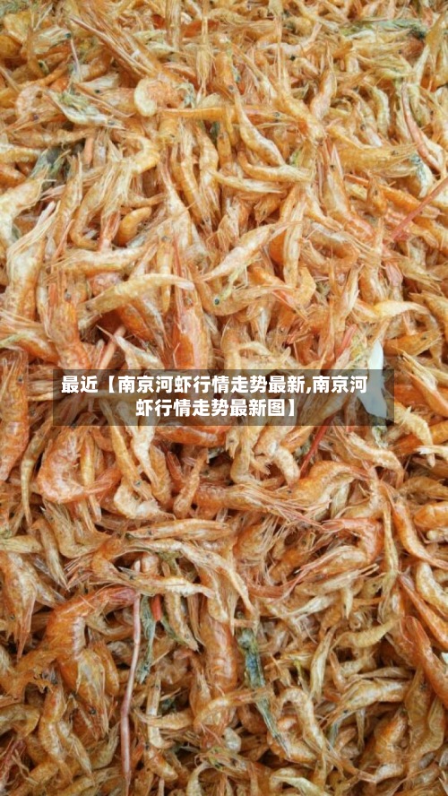 最近【南京河虾行情走势最新,南京河虾行情走势最新图】