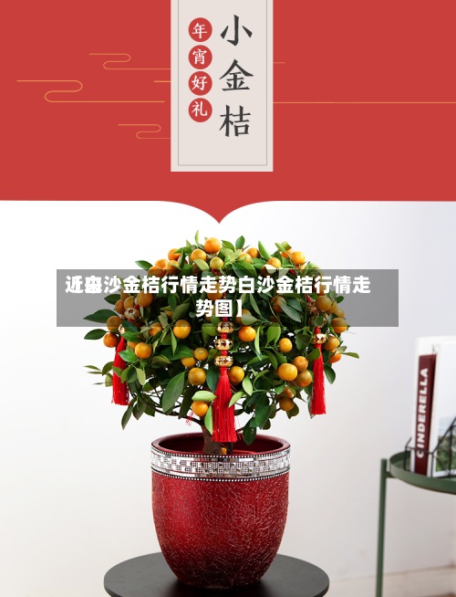 近来【白沙金桔行情走势白沙金桔行情走势图】-第2张图片