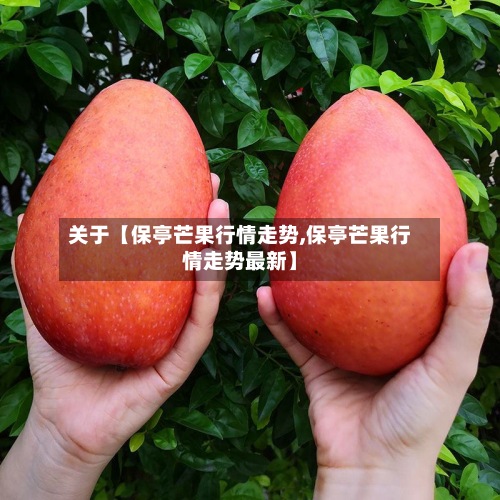 关于【保亭芒果行情走势,保亭芒果行情走势最新】