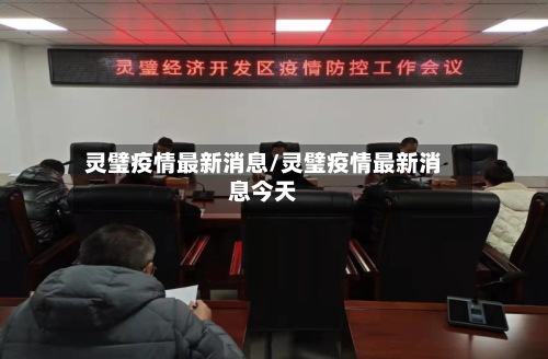 灵璧疫情最新消息/灵璧疫情最新消息今天-第2张图片