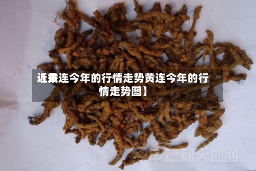 近来
【黄连今年的行情走势黄连今年的行情走势图】-第2张图片