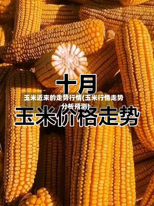 玉米近来的走势行情(玉米行情走势分析预测)