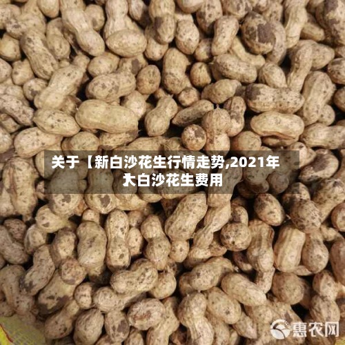 关于【新白沙花生行情走势,2021年大白沙花生费用】